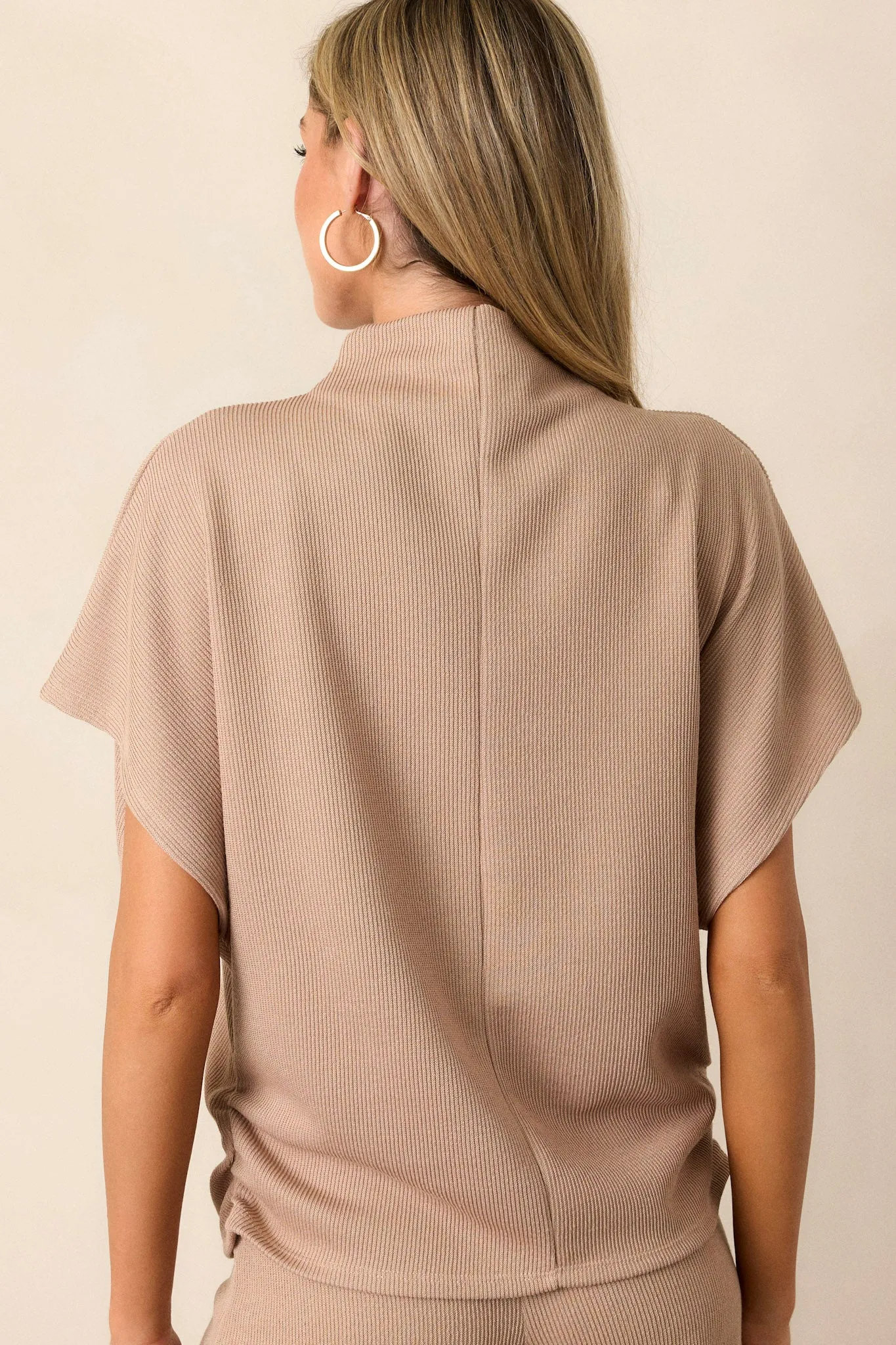 Carolina Plains Beige Knit Mock Neck Top