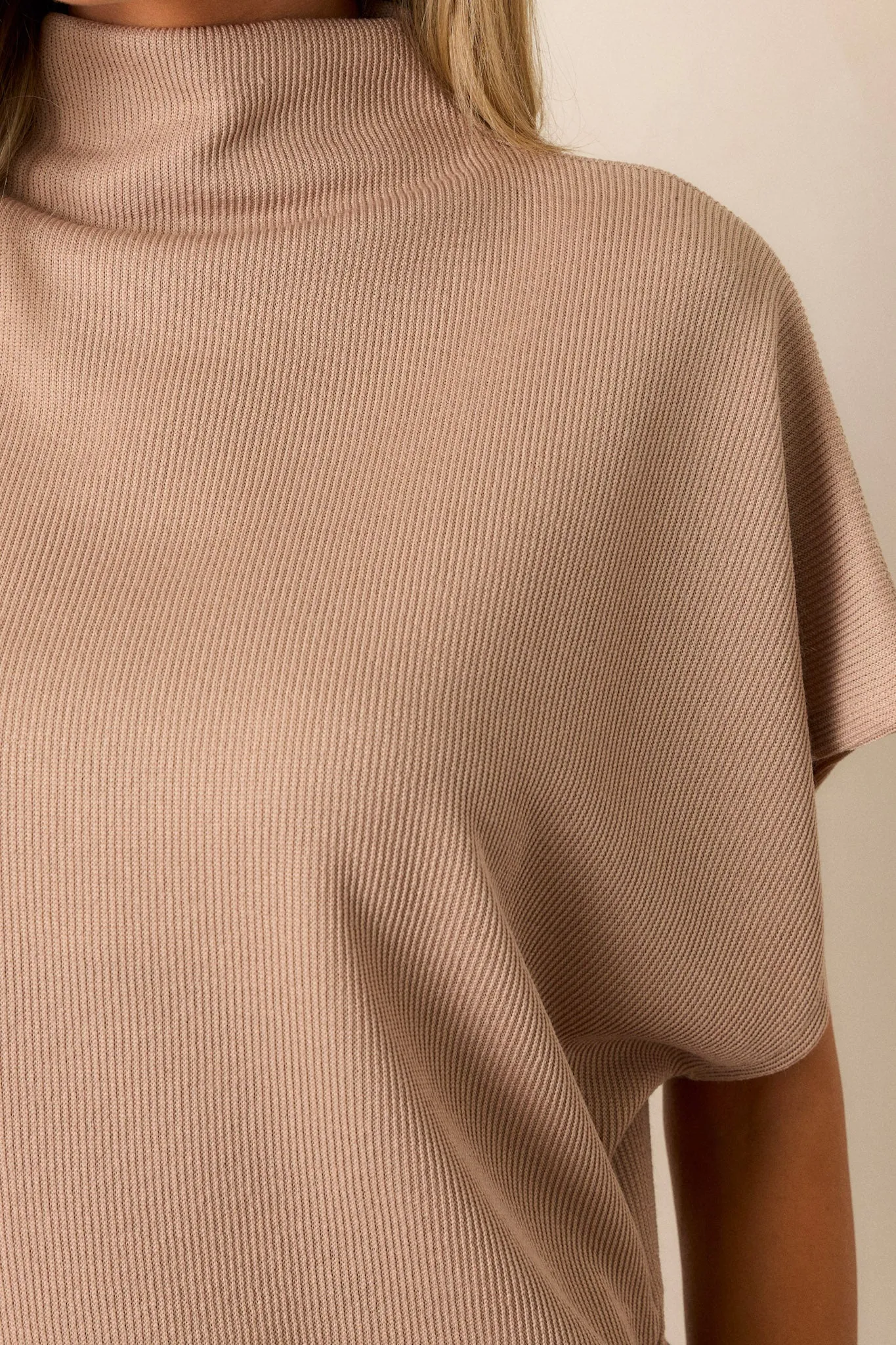 Carolina Plains Beige Knit Mock Neck Top
