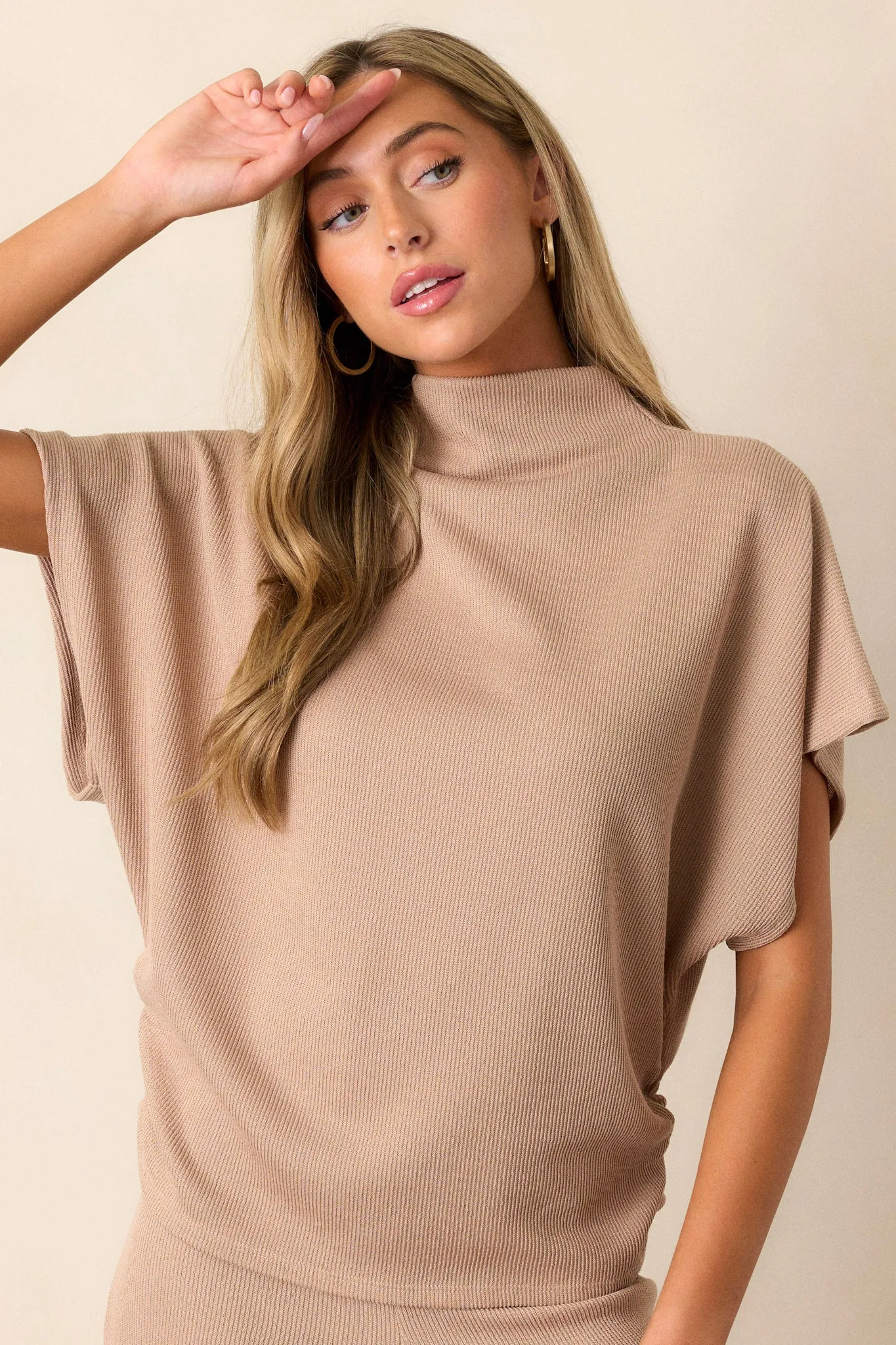 Carolina Plains Beige Knit Mock Neck Top